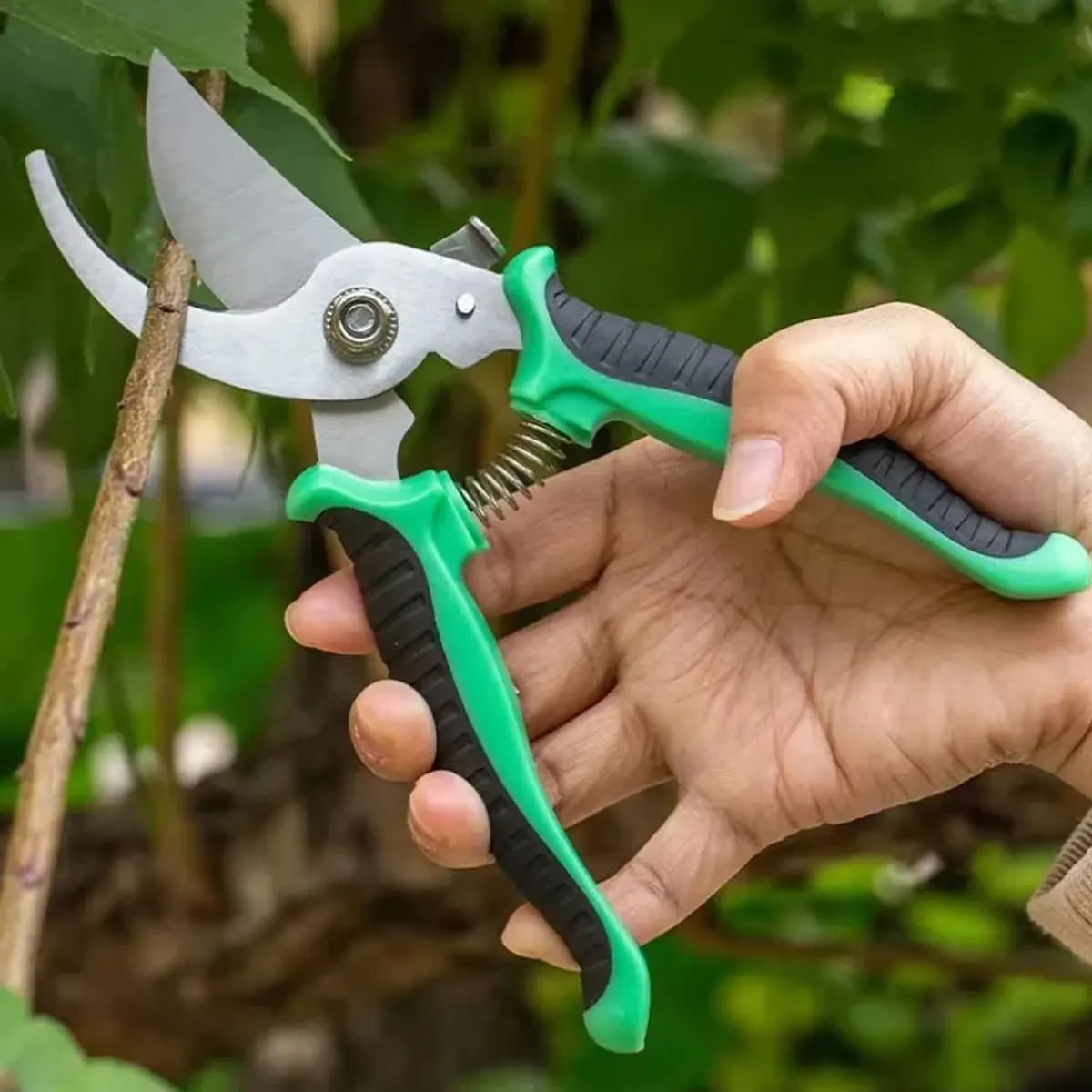 

Stainless Steel Professional Gardening Shears Pruning branches Fruit trees Flowers Household Pruning Tools Shears