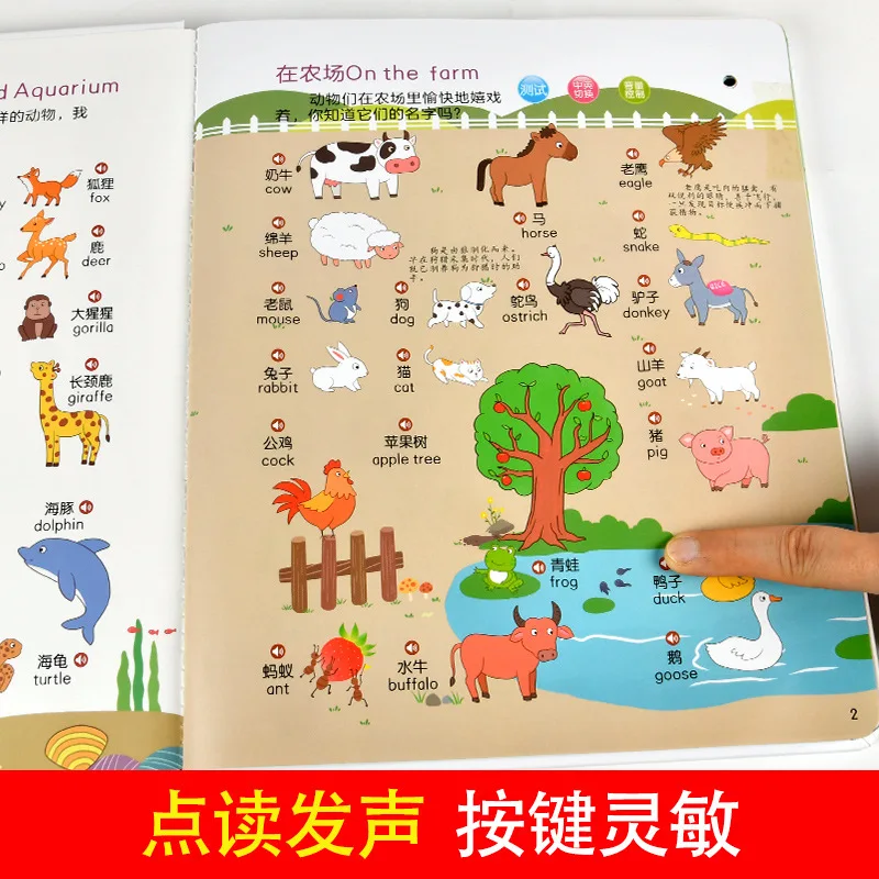 子供のための英語の指の読書、禁止されたオーディオブック、早期教育