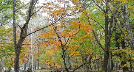 Outdoor Waterproof … - image