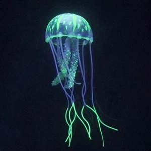 7 en çok satılan balık ve sahte kova-no. 6