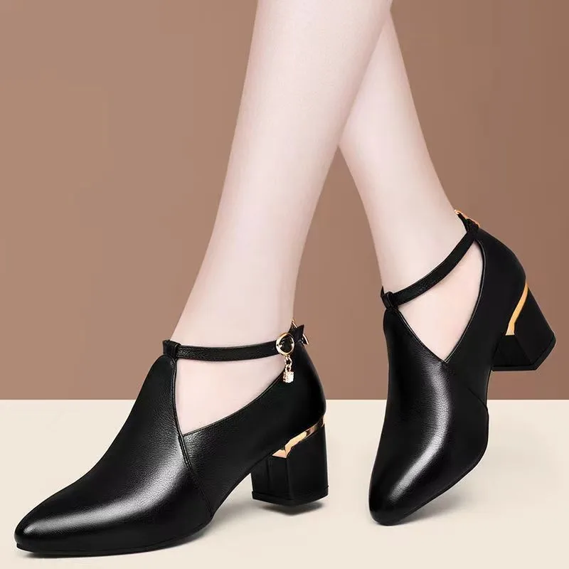 Fashion Pointed Toe Ankle Straps Women Shoes High Heels Spring Autumn Versatile Retro Thick Heel Single Shoes Zapatos De Mujer