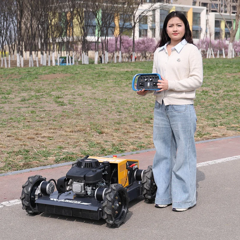 Customized New Type…