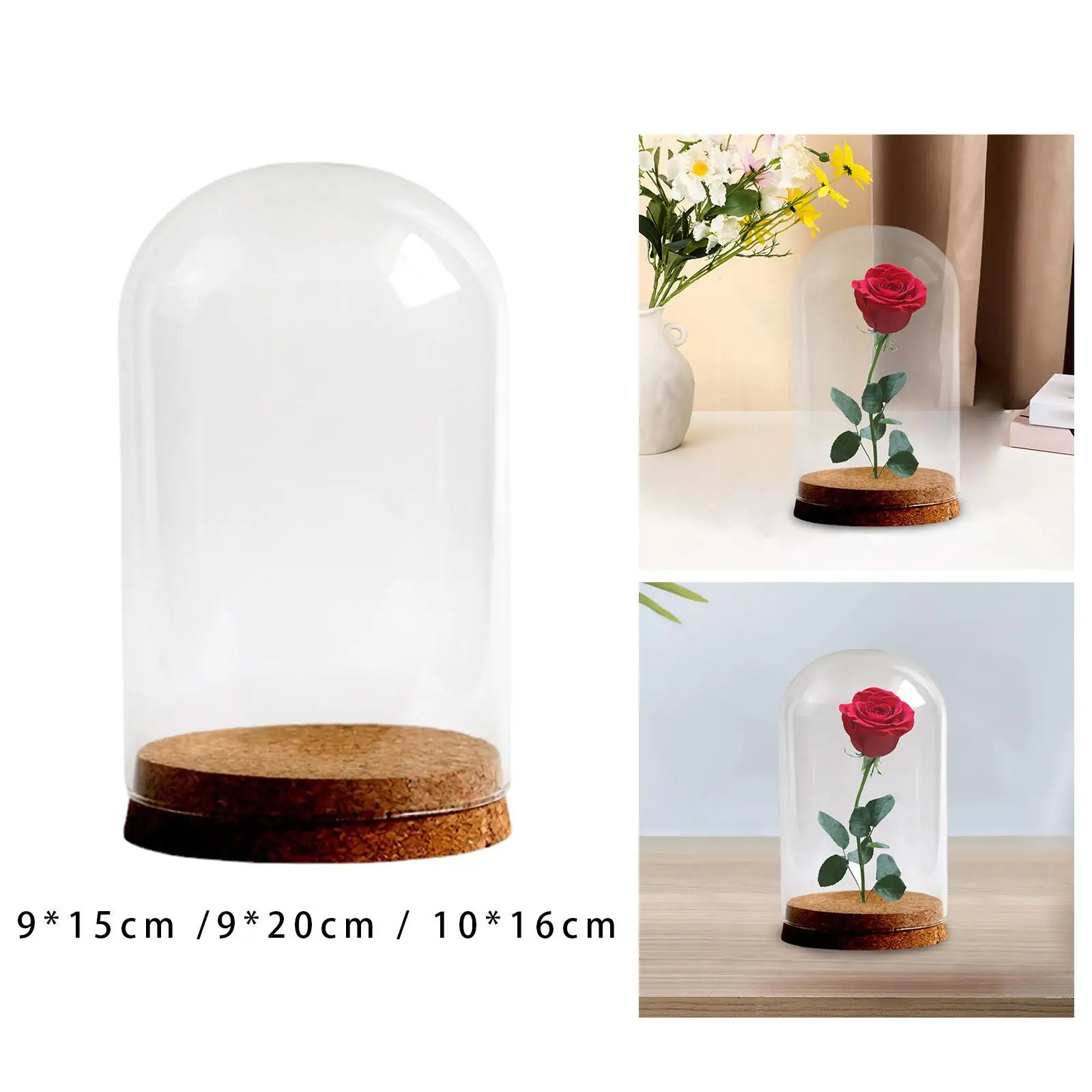 Preserved Flower Glass Cover DIY Stable Stylish Clear Glass Display Case for Weddings Desktop Study Room Anniversaries Festival