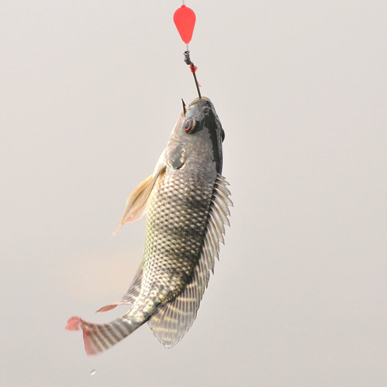 

10 Pcs Eye-catching Float Fishing Tackle Beads Gear Accessories Epp Fly Equipment Tupplies