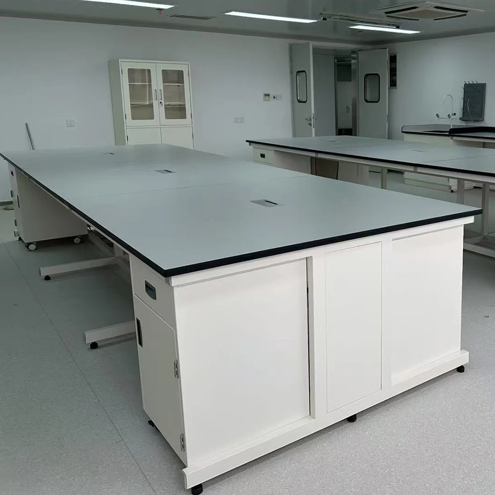 Professional Customized School Laboratory Furniture Physical Lab Table With Sink