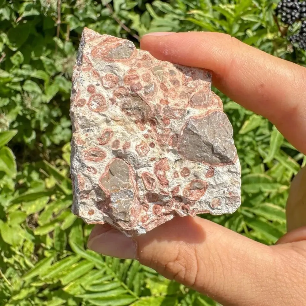 Natural Rough Leopard Skin Jasper Crystal Raw Stone Quartz Mineral Healing Reiki Spiritual Products Meditation Chakra Energy