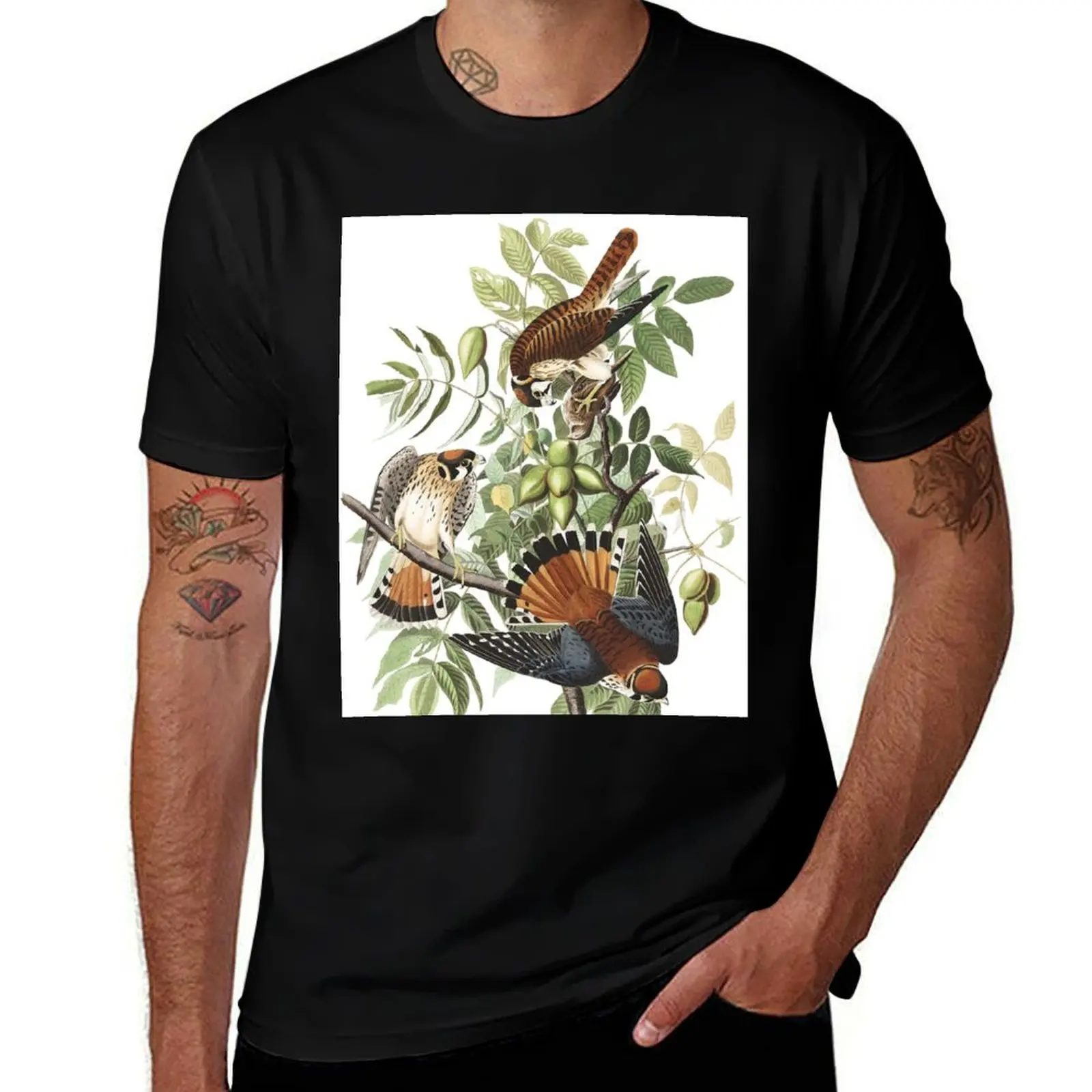 American Kestrel - John James Audubon T-Shirt clothes boys animal print customs clothes for men