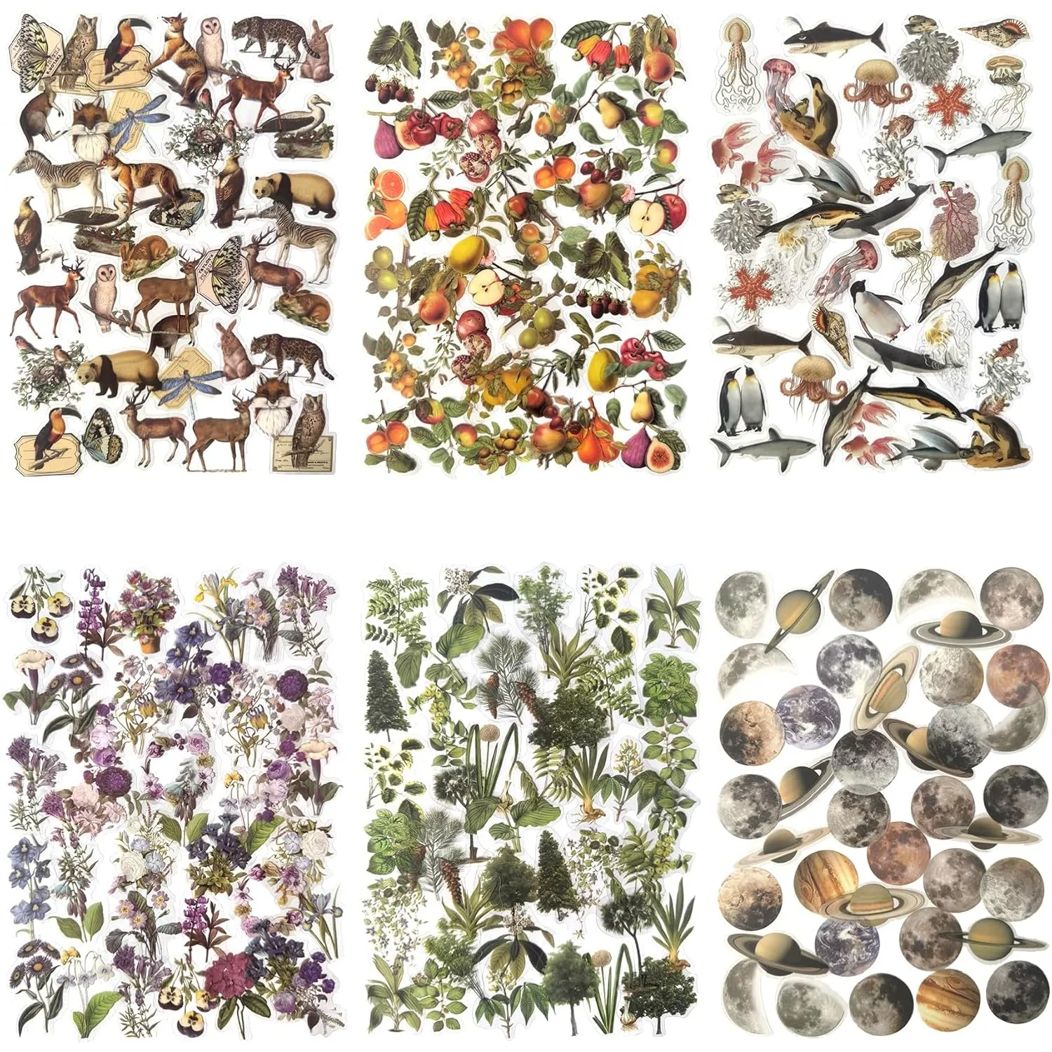 240PCS Waterproof Flowers Leaves Animals Plants Nature Stickers for Art Journaling Planners Scrapbook DIY Crafts Decoration, 6 Series Nature Theme Stickers Set