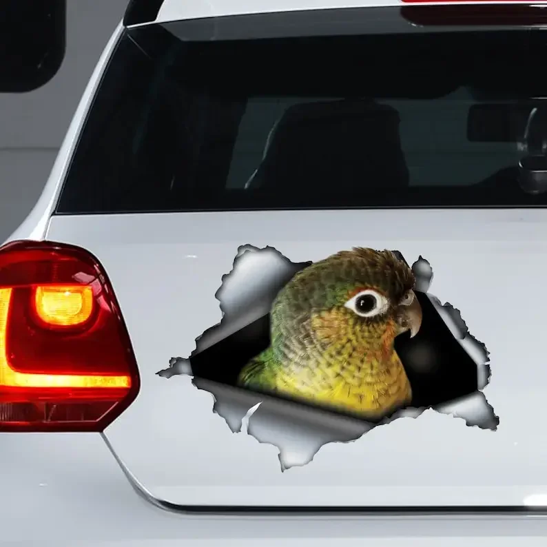 

yellow sided green cheek conure , green cheek conure magnet, car decoration, car sticker