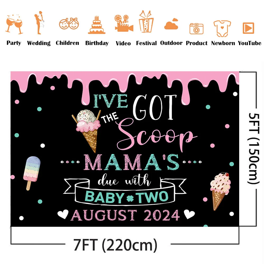 I've Got the Scoop Ice Cream Pregnancy Announcement Chalkboard Backdrop Pink and Blue Baby Number 2 Photo Background Prop Custom