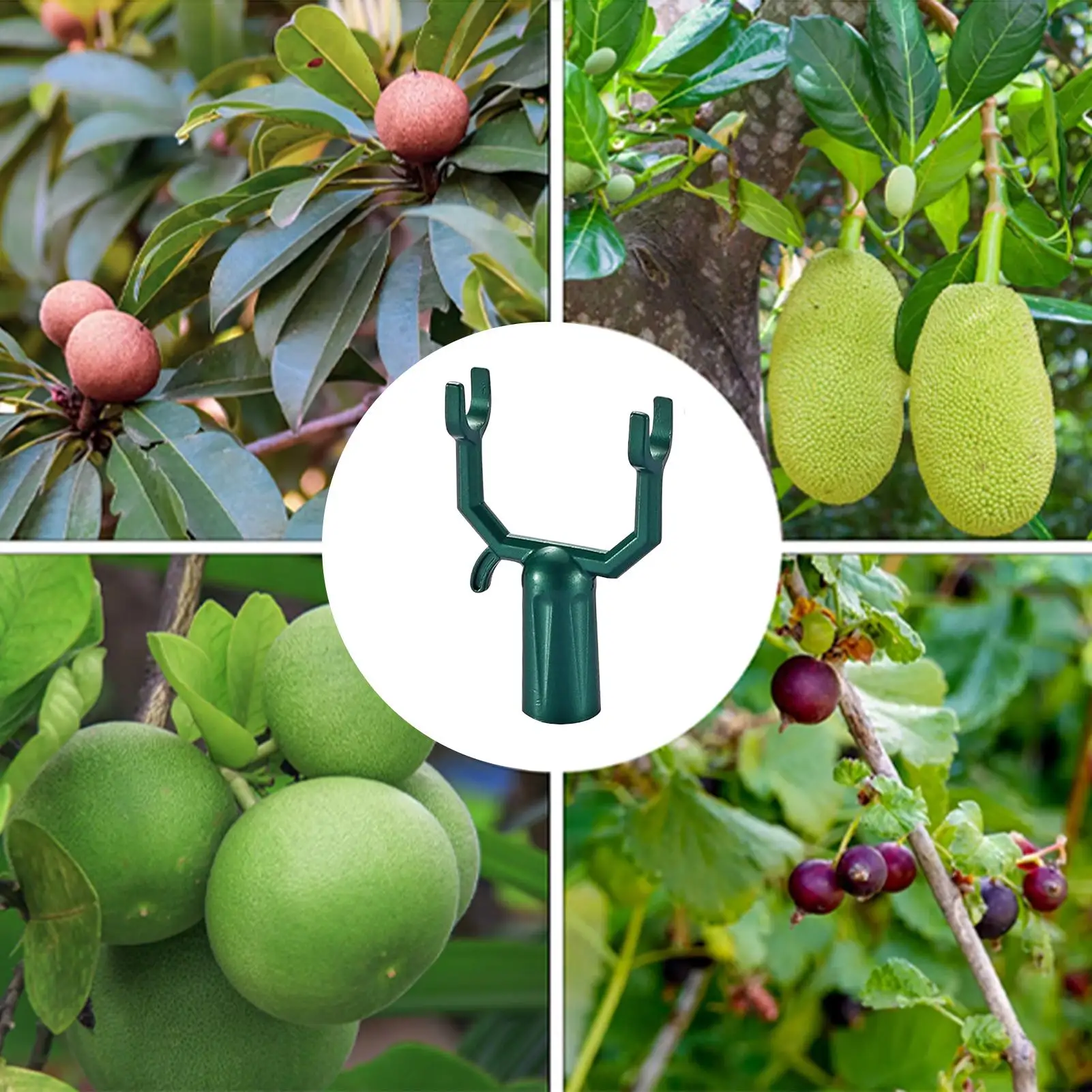 

Tree Crutch 5pcs Branch Support Metal Tree Cane Adjustable Rust Proof Limbs Fruit Tree Garden Stake For Modeling Securing
