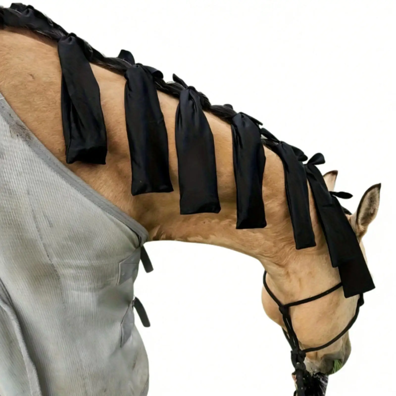 Equestrian Horse Mane Cover Protector for Outdoor Elements Lightweight Soft Sleeve Tie Top Secure Attachment Maintain Clean Neat