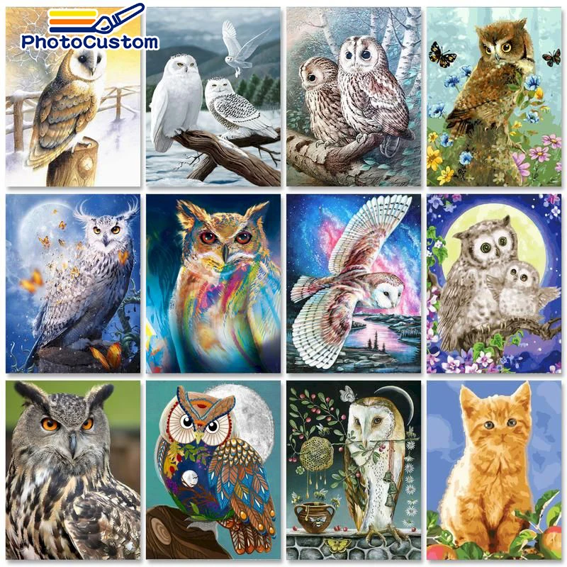 

PhotoCustom Modern Painting by numbers Animals Handmade Picture Paint Owl DIY Drawing by numbers Unique gift Home decor