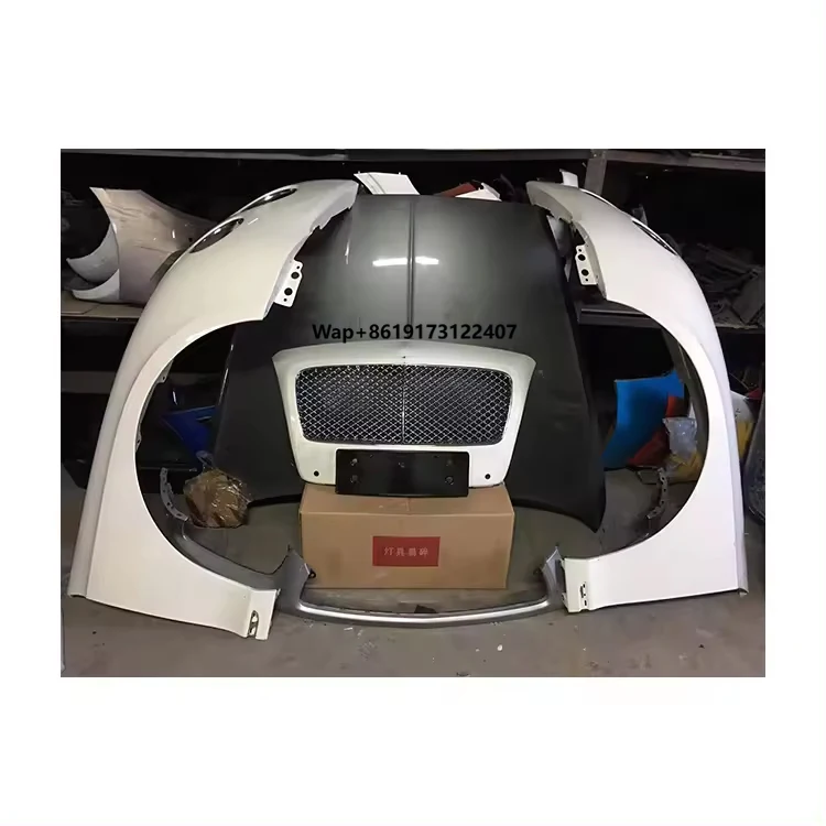 

Professional Factory New Brand China High Quality Easy Installation Car Wheel Fender Cover for Continental Gt