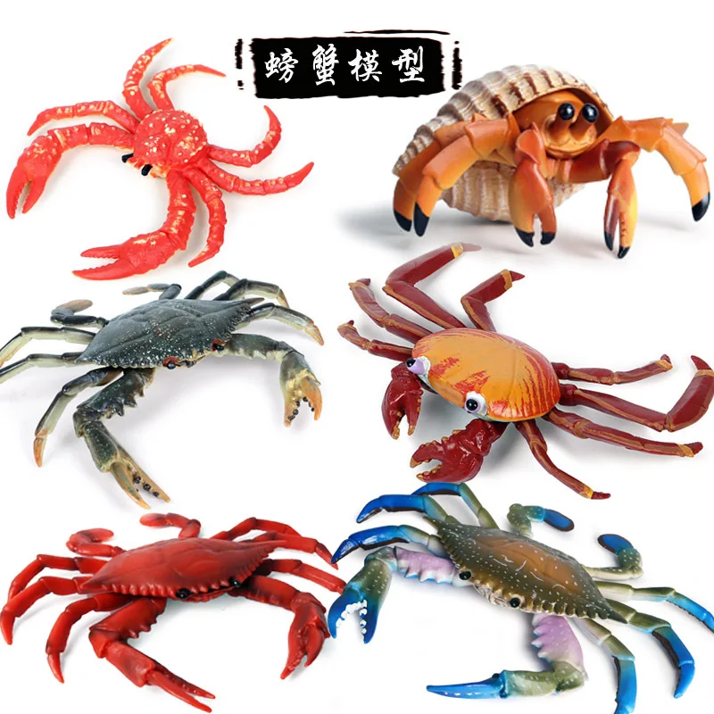 42 Types d'animaux de l'océan, Simulation de crabe ermite Nautiloidea, poulpe, modèle de vie marine, Figurines d'action, Collection, jouet cadeau