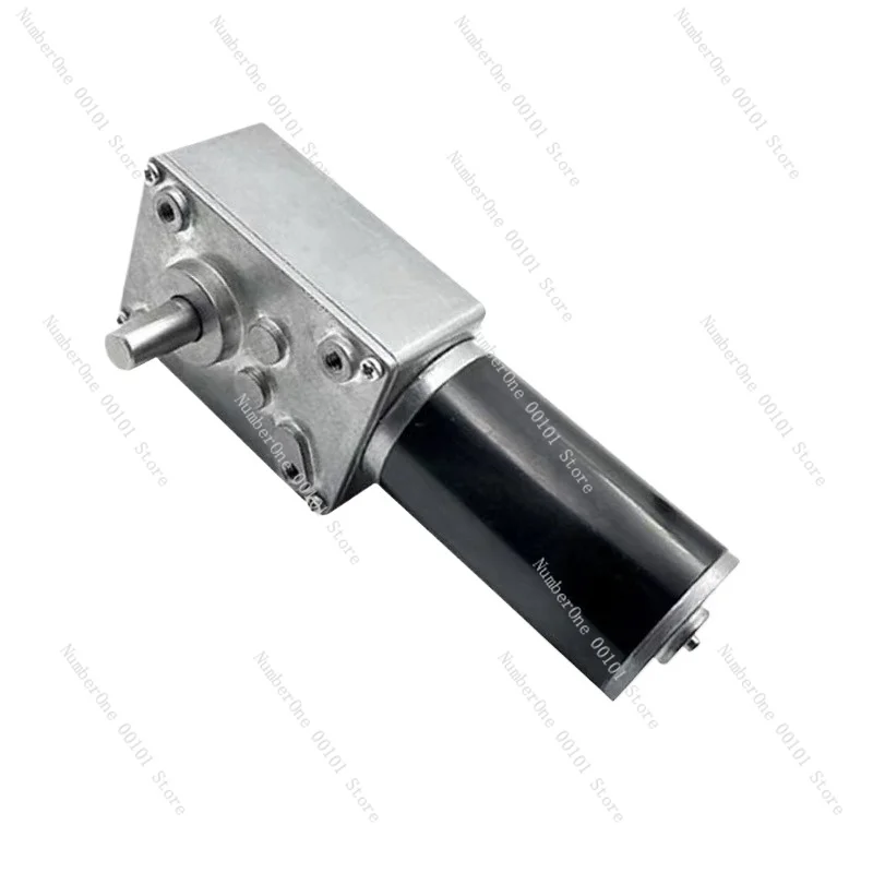 5840 Reduction Motor 31 Motor 24V 12V High Torque with Self-locking Worm Gear DC Reduction Motor