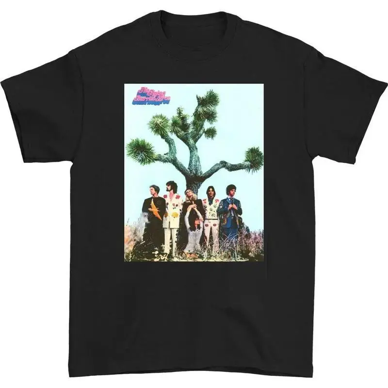 The Flying Burrito Brothers band T-shirt Black Cotton All Sizes