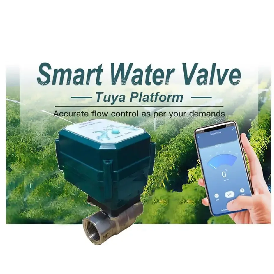 electric 2-way ball valve motorized flow control smart valve stainless steel brass BSP NPT intelligent wifi water shutoff valve