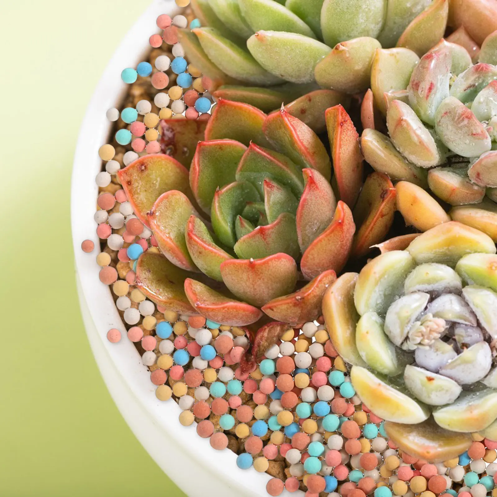 Decorative Ceramic Rocks for Succulents & Bonsai – Air-Permeable Clay Pebbles, 2 Bags Garden Pot Surface Decor