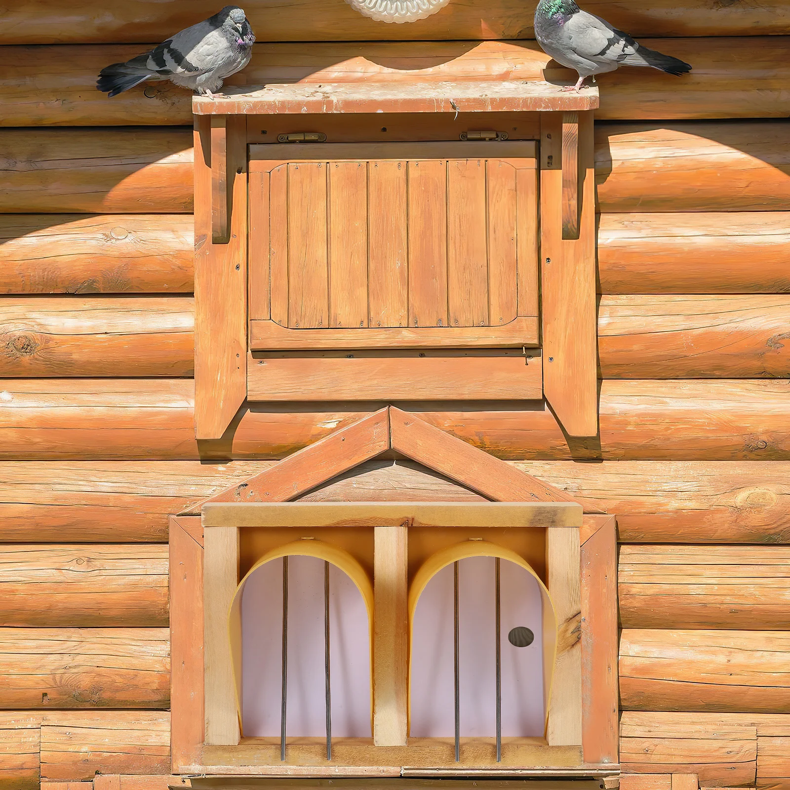 

European Style Pigeon Entrance Door for Bird Cage Accessories - Spacious Escape Prevention Design Pigeon Door