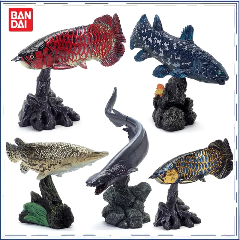 BANDAI Anime Fish Ancient Ocean Asian Arowana Biological Encyclopedia Gashapon Christmas Gifts Genuine Action Figure Model Toys