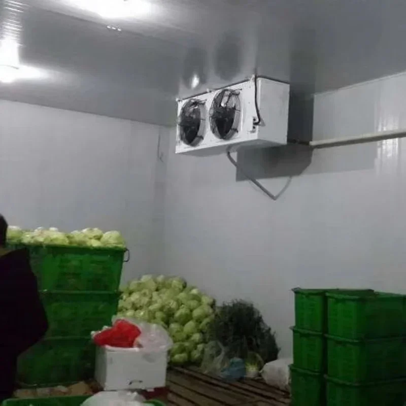 Refrigerated solutions with blast freezers for the meat industry and