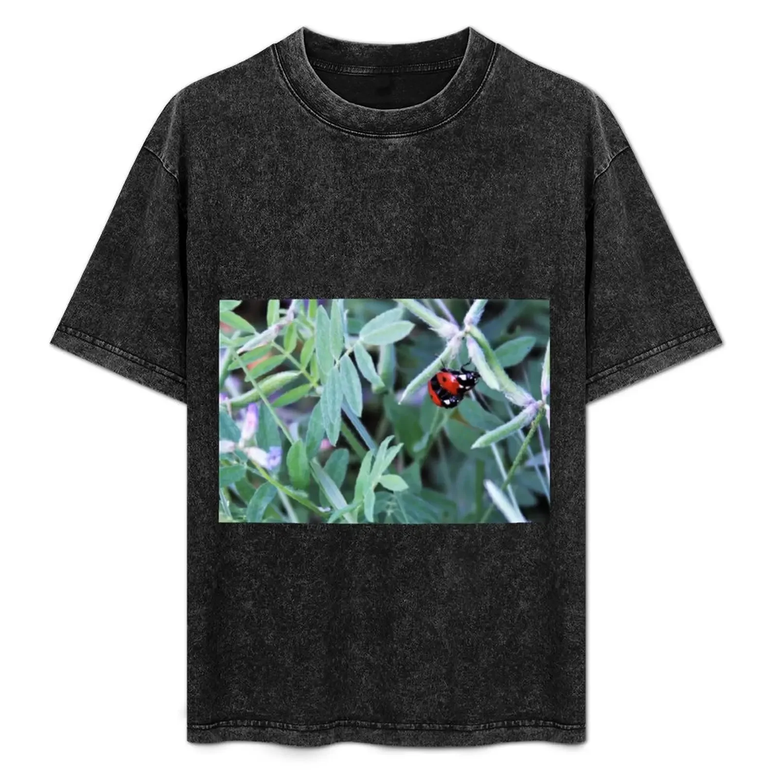 

Lady Bug T-Shirt valentines clothes vintage clothes luxury designer graphic t shirt vintage Men's t-shirts