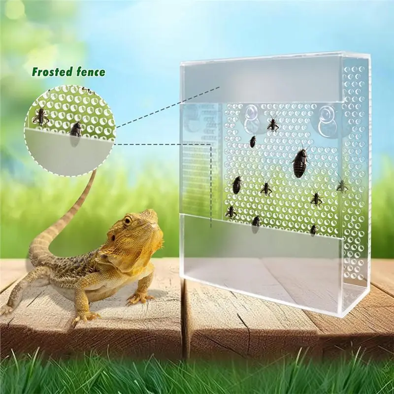 ABGH-Transparent Acrylic Reptile Feeder Box Wall-Mounted Insect Feeding Dish With Suction Cups For Lizards