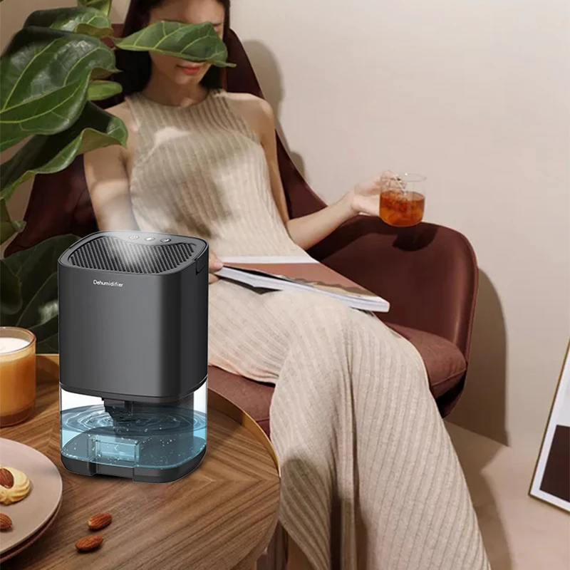 

Бытовые осушители воздуха | Бесшумные осушители воздуха | Осушители воздуха для гостиных | Осушители воздуха для спален, кухонь и офисов