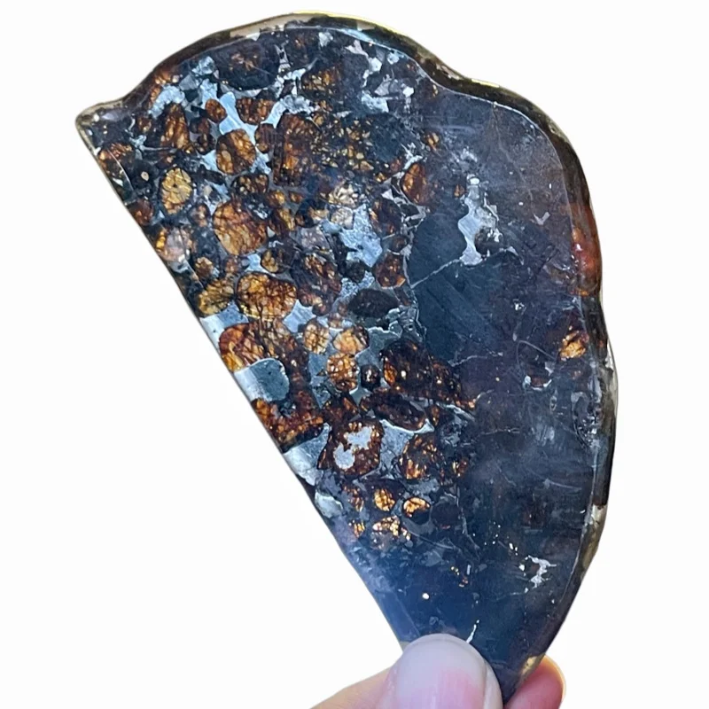 Natural Fan‑Shaped Sericho Pallasite Meteorite Polished Slice Kenya Olivine Mineral Specimen QA869