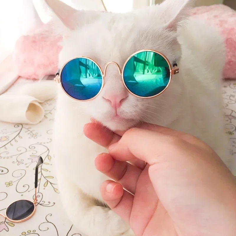 Summer Dog Cat Glasses Pet Accessories Fashion Cat Sunglasses Beauty Black Green Color Random