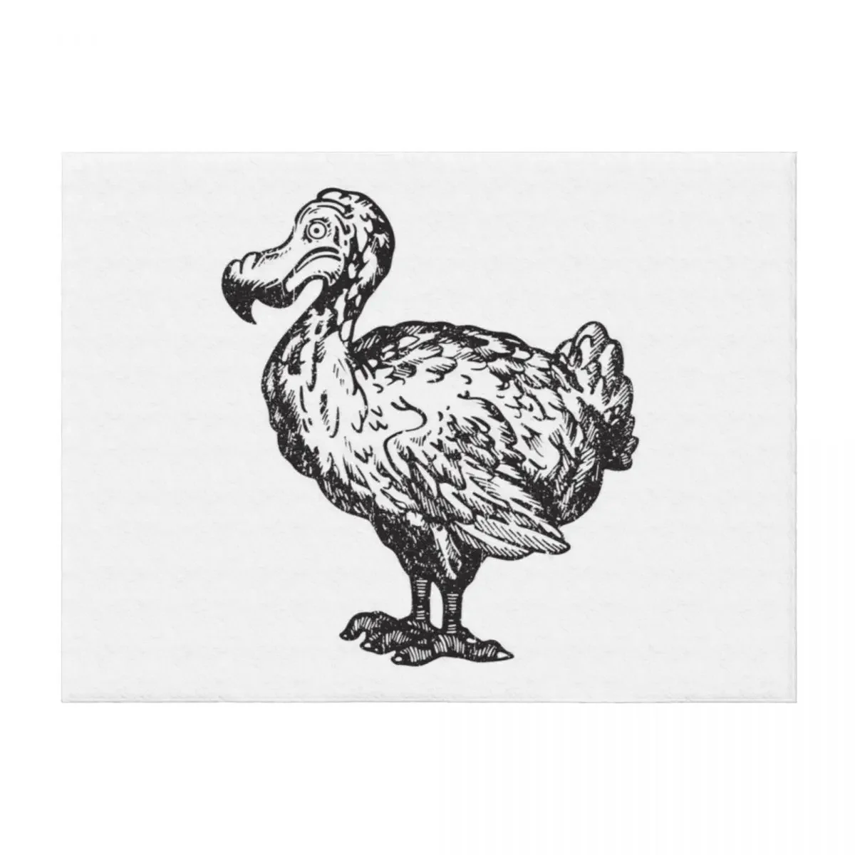 

Футболка Dodos для мужчин и женщин. Спасите футболки Dodos. Никогда не забывайте Dodos. Спасите Dodos. Одеяло Love Dodo Birds