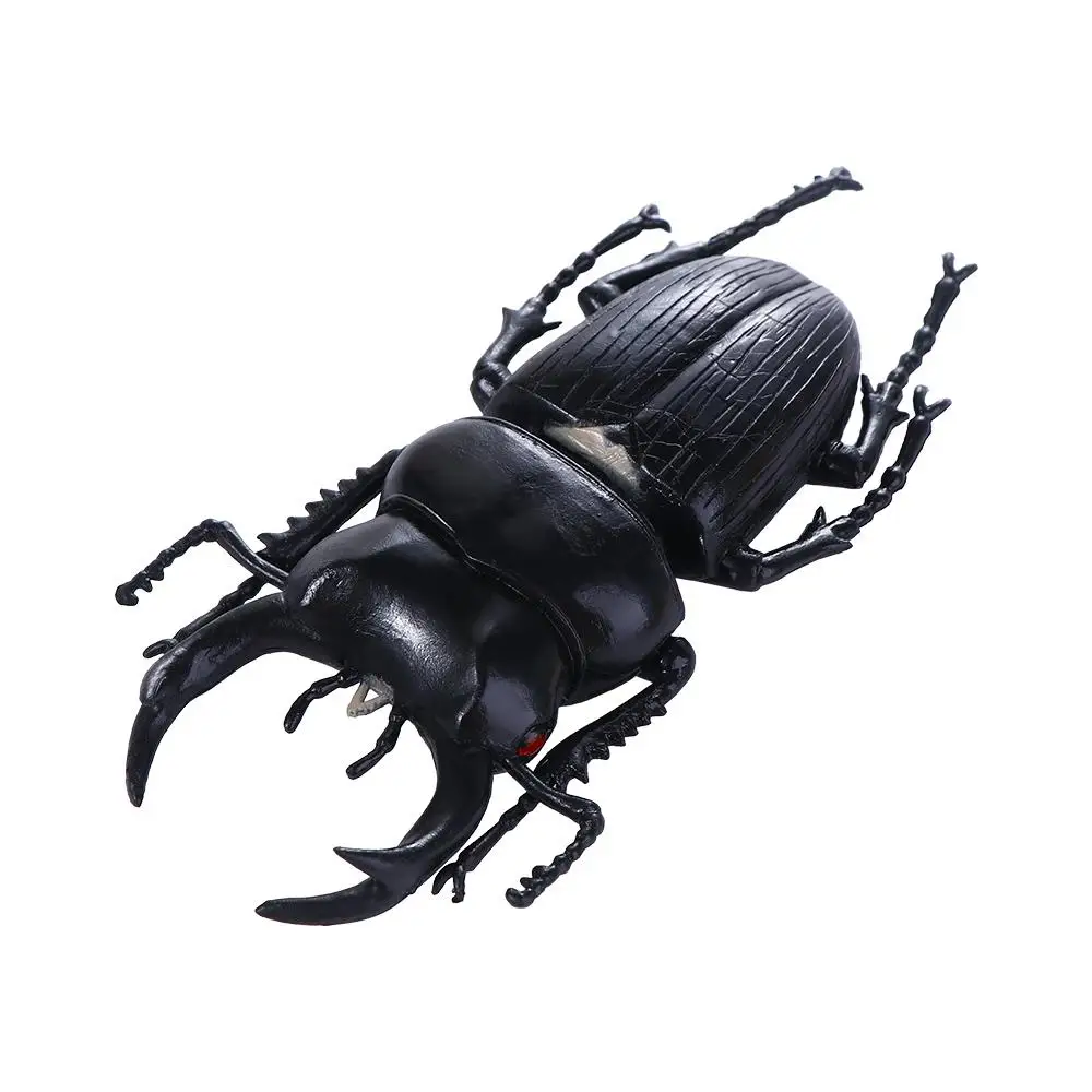 Teaching Aids Joke  Insect  Fake Beetle Beetle Figures Special Lifelike Model Simulation Beetle Beetle  Insect Model