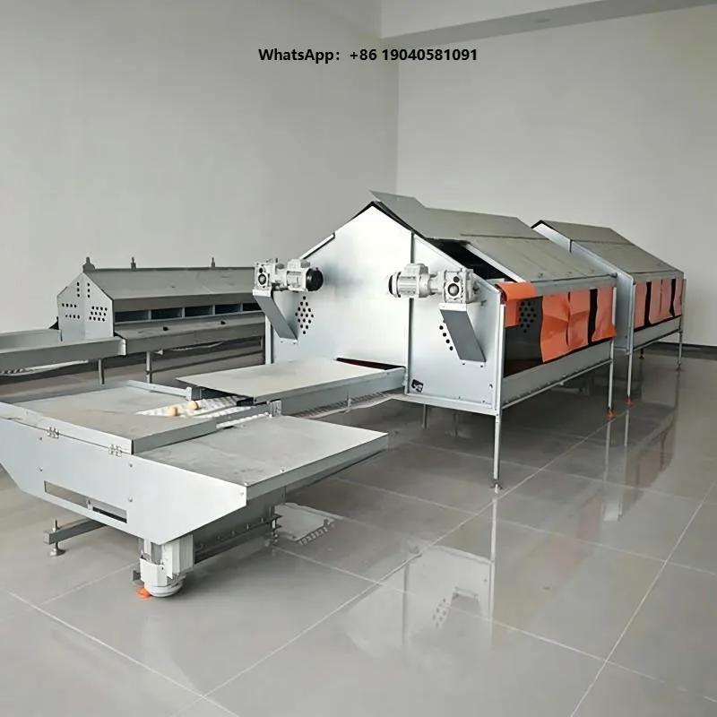 Automatic Hen Laying Nest Box Galvanized Steel Free Range Chicken Egg Laying Box Automatic Egg Collection