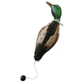 Pet Duck