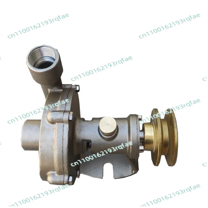 

1 Inch Stainless Steel Water Pump Miniature Marine Fresh Water PumpPumpingEngine Seawater CentrifugalPump 1InchMarine Water Pump