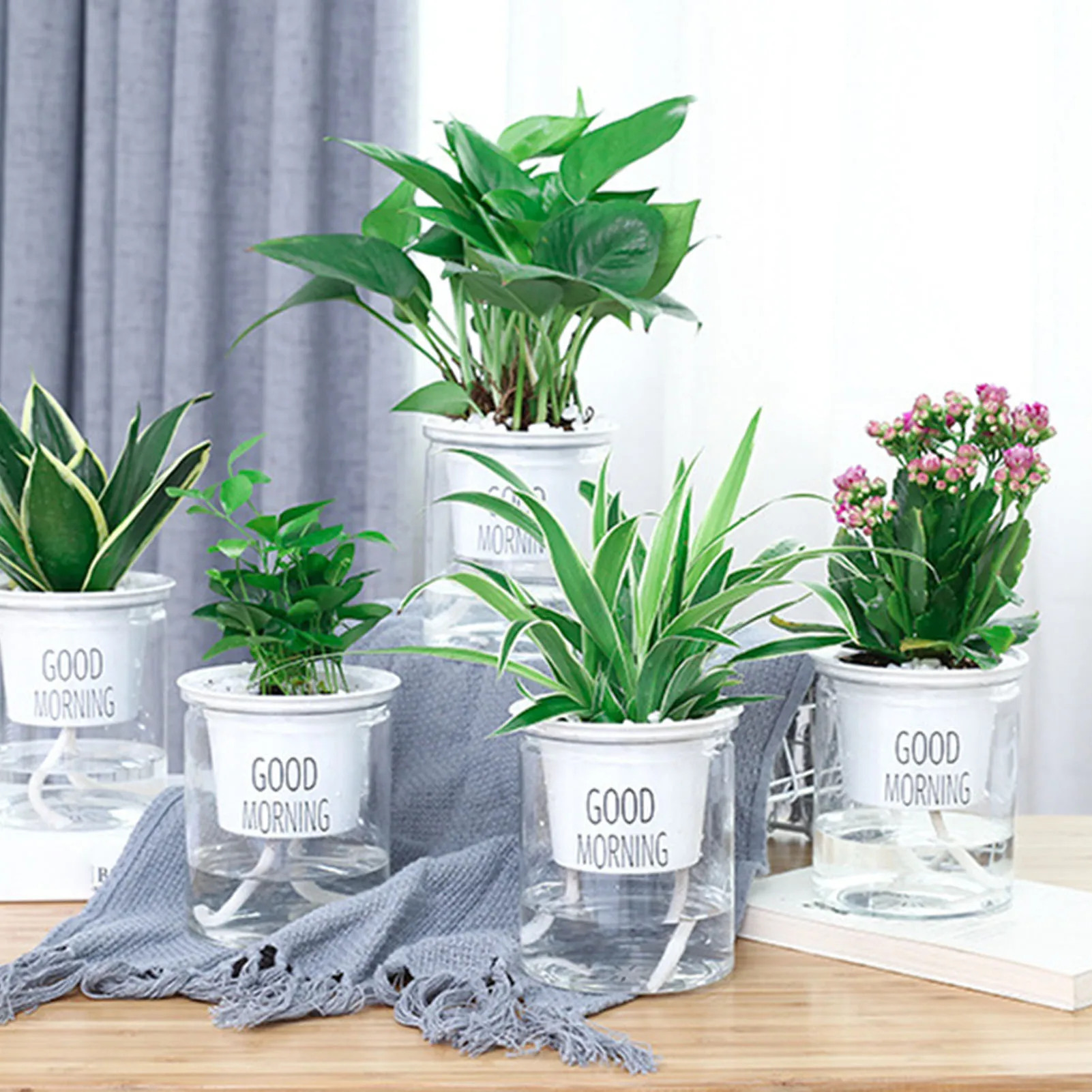Lazy Plastic Hydroponic Flowerpot Round Automatic Water-absorbing Flower Transparent Double-layer Creative Flowerpot Office