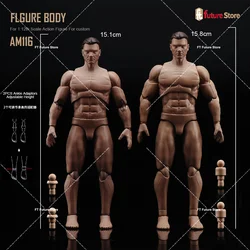 ANT AM116 1/12 Male Super Flexible Joint Body with Head 6inch Soldier Muscular Action Figure Body Dolls