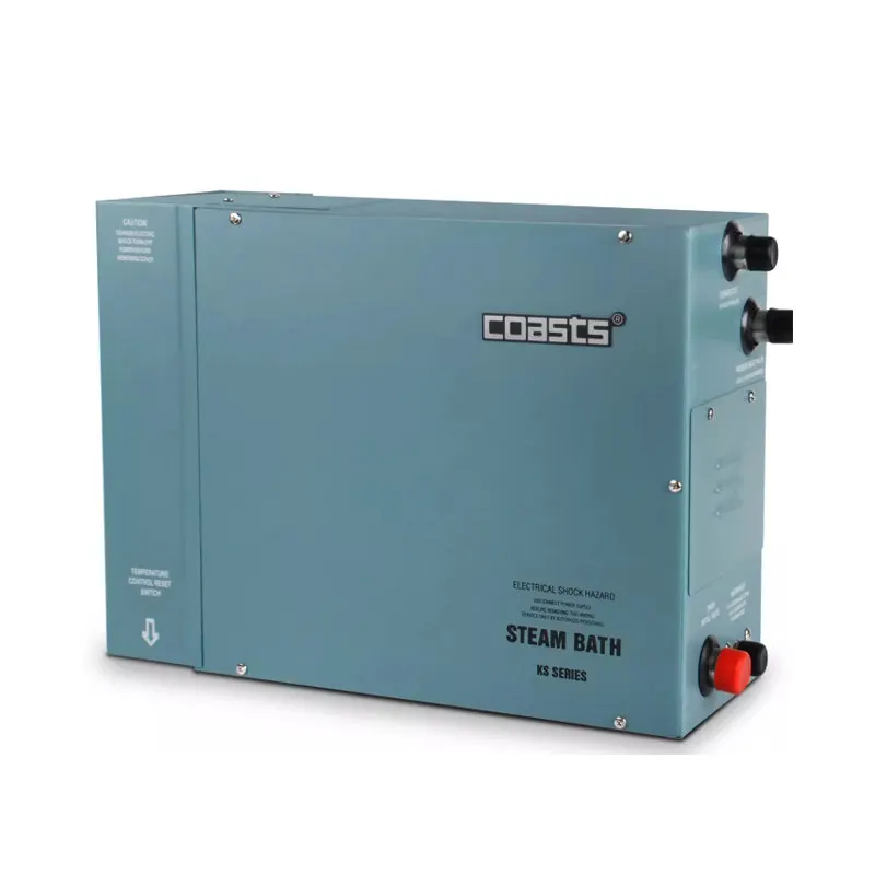 Complete set of steam generator K S A-30 (3KW/220V) (controller+probe wire+nozzle)