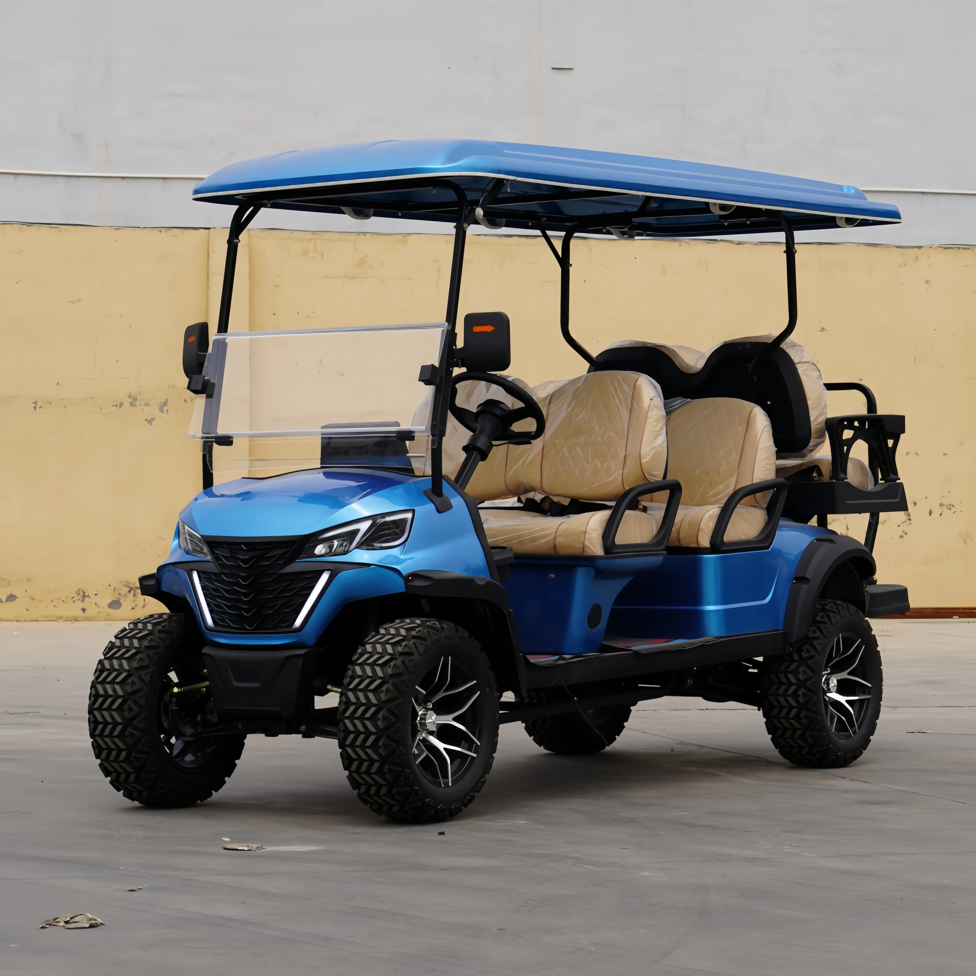 China Supplier Cheap 2 4 6 8 Mini Electric Golf Cart with Independent Suspension On Sale