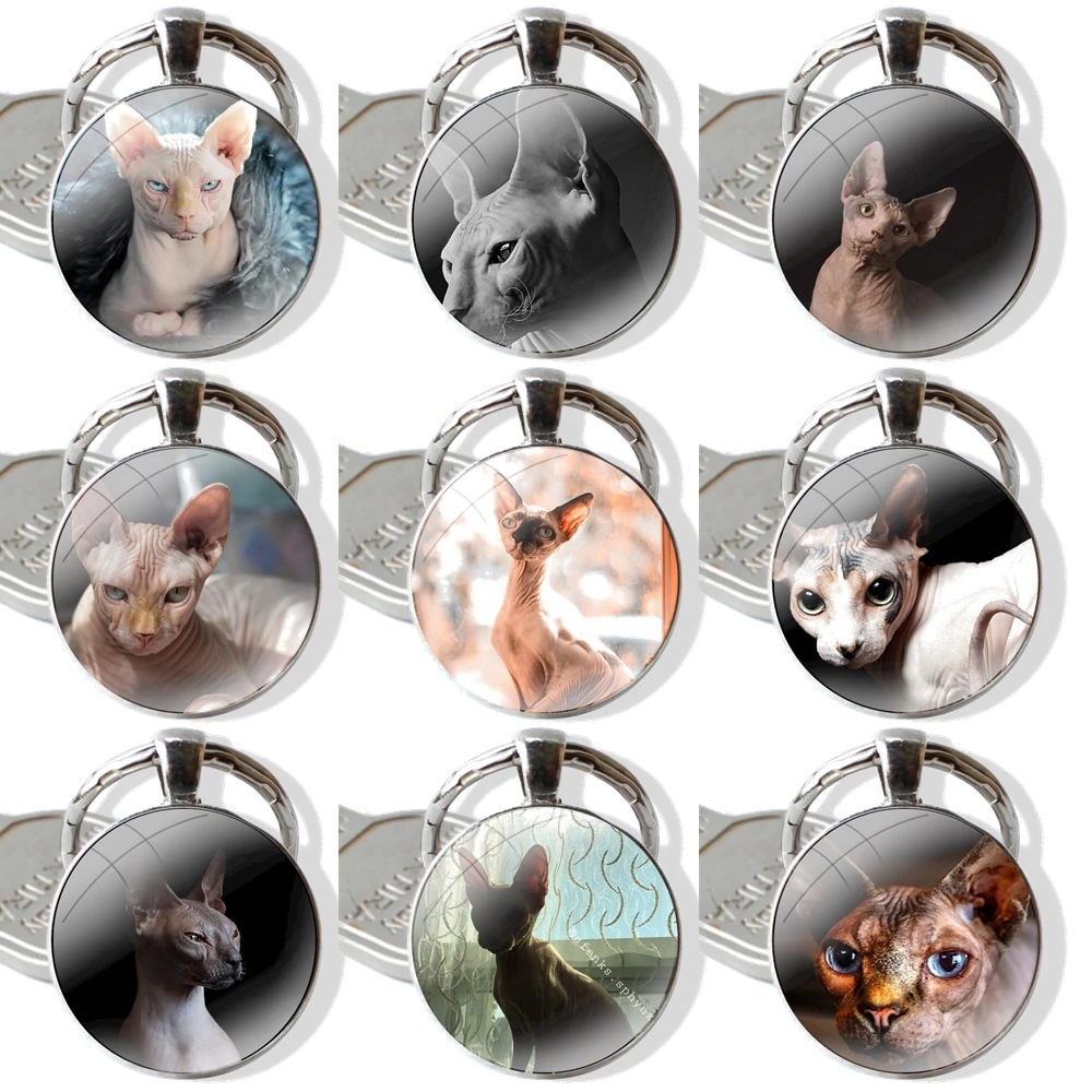 25mm Glass Cabohcon Keychain Key Rings for Women Men Jewelry Gift Canadian Hairless Beerus cat sphynx cat