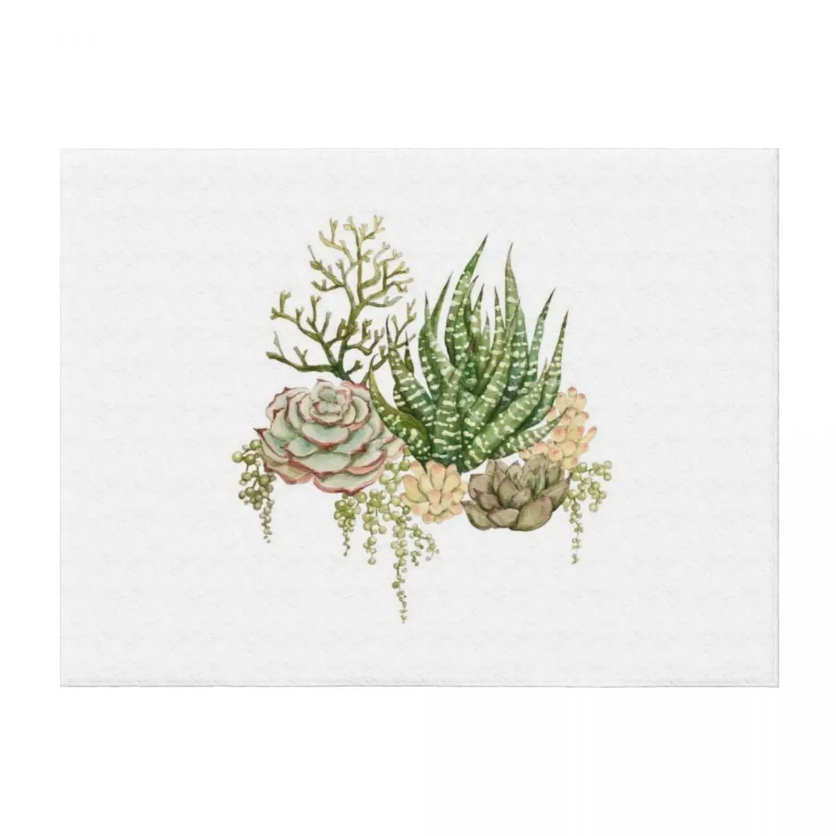 

Succulent Bouquet Throw Blanket Decorative Sofa Kid'S For Decorative Sofa warm for winter Blankets