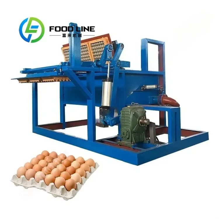 New Design Small Egg Tray Machine 1500 Capacity with Great Price Commercial Pulp Molding Equipment Factory Direct Customize