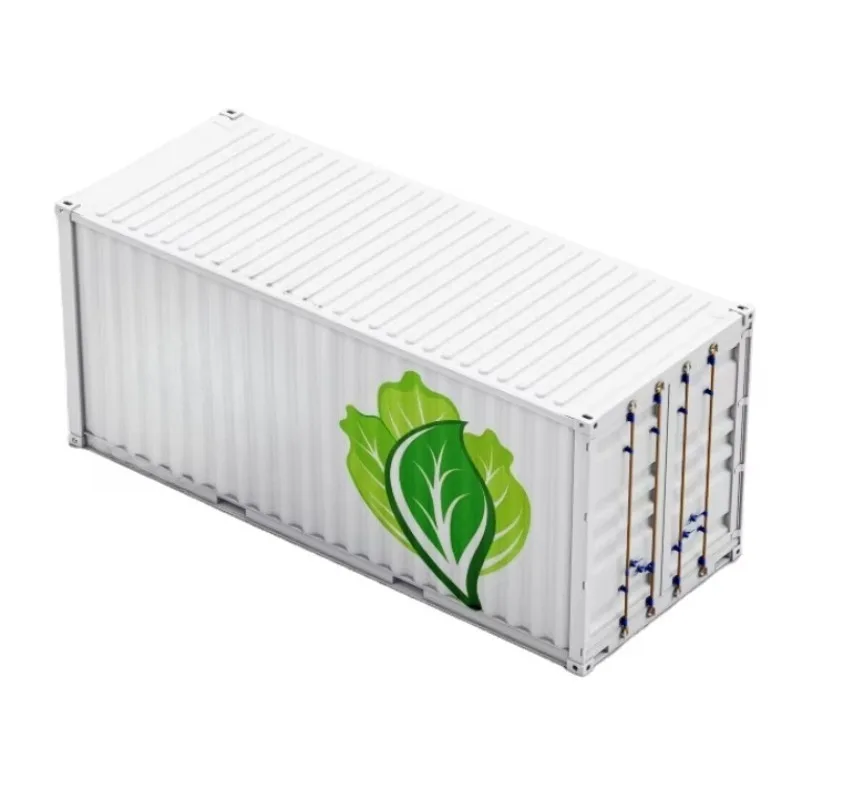 40ft Shipping Container Hydroponic Farm Vertical Growing System for Commercial Greenhouse Plant Cultivation Custom