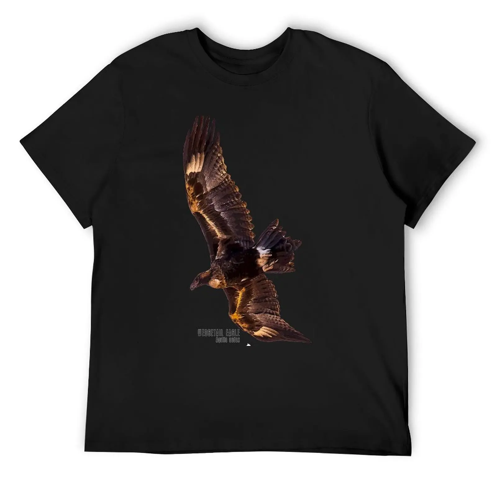 

Wedgetail Eagle_02C T-Shirt oversized anime shirt vintage graphic tee mens plain t shirts