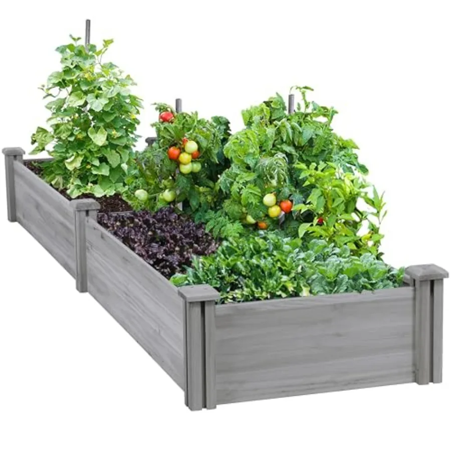 8×2ft Wooden Horticulture Raised Garden Bed Divisible Elevated Planting Planter Box for Flowers/Vegetables in Backyard/Patio Ou