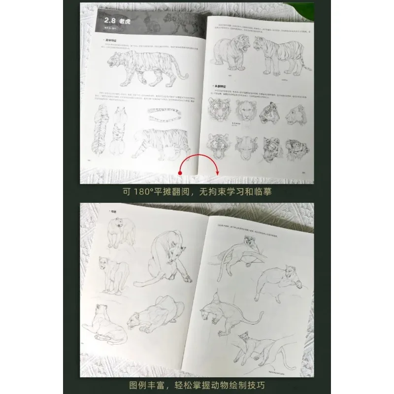 Animal Sketching Encyclopedia with Over 1000 Illestrations Master Animal Drawing Techniques Easily Tutorial Book