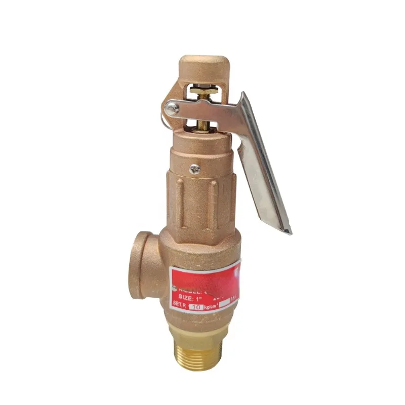 A21W Brass Bronze Boiler Safety Relief Valve with Lever High Lift Spring Loaded Safety Valve DN25 PN16