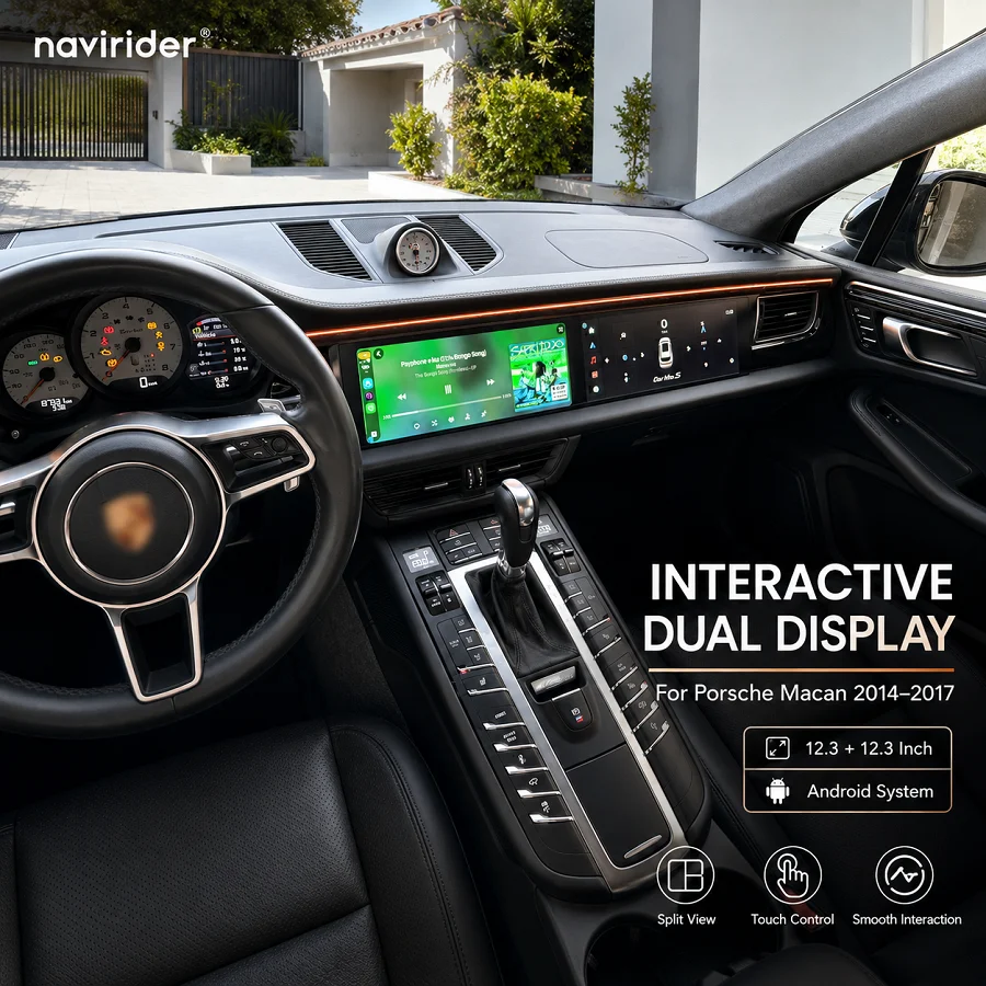 Dual 12.3