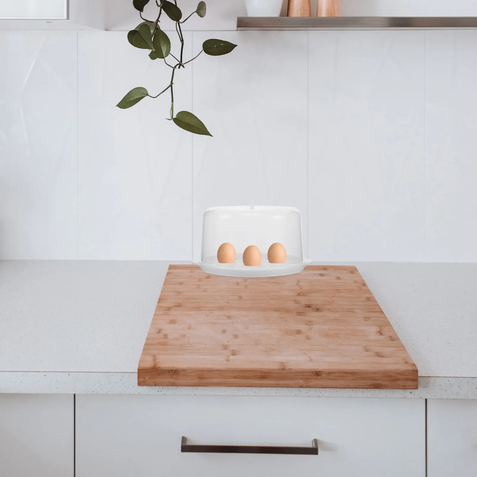 

2Pcs Plastic Egg Steaming Rack Insert Hard Boil Eggs Holder Round Steamer Tray Transparent Lid Kitchen Steamer Rack Household